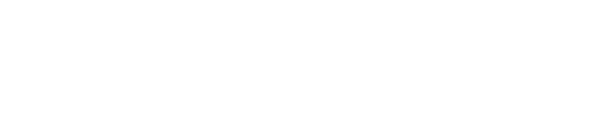 schneeWISE