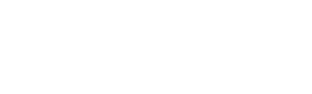 snow.institute